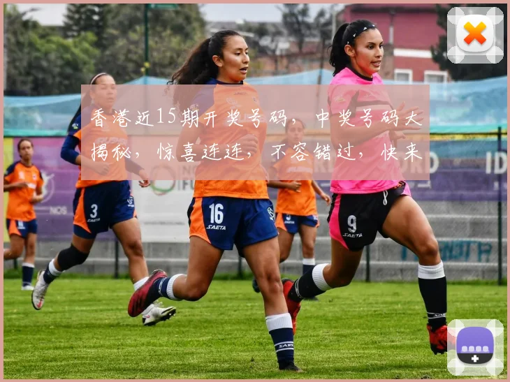香港近15期开奖号码，中奖号码大揭秘，惊喜连连，不容错过，快来关注