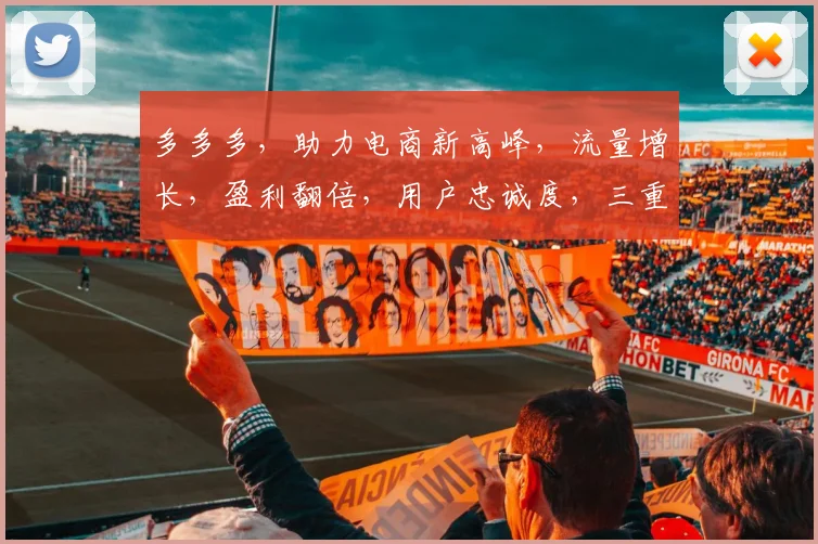 多多多，助力电商新高峰，流量增长，盈利翻倍，用户忠诚度，三重惊喜，不容错过
